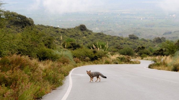 Dictan un taller de flora y fauna para el sector turístico en Merlo