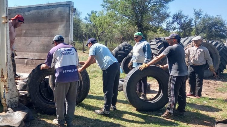 Candelaria y Alto Pelado sumaron cinco toneladas en el descacharrado