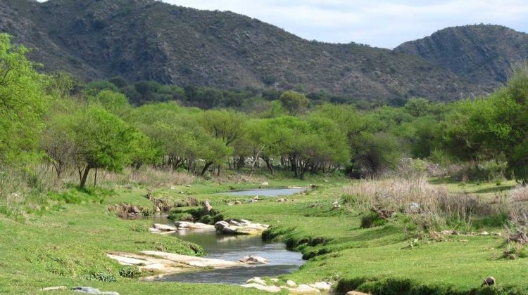 Realizarán el primer encuentro de ‘Saber y vivencias’ en el Parque Provincial Bajo de Véliz