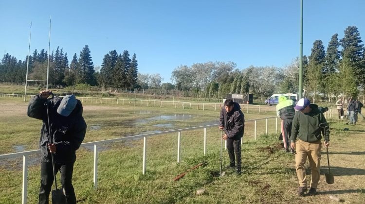 Comenzaron las plantaciones de árboles en instituciones deportivas