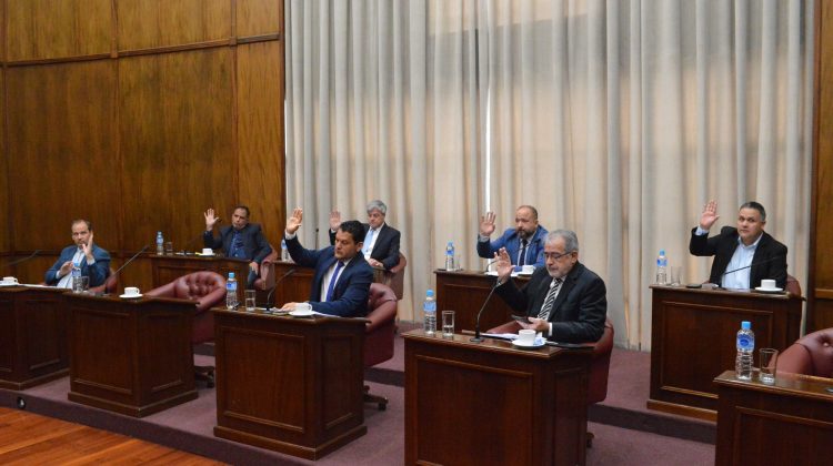 El Senado dio media sanción a la reducción de la feria judicial en San Luis