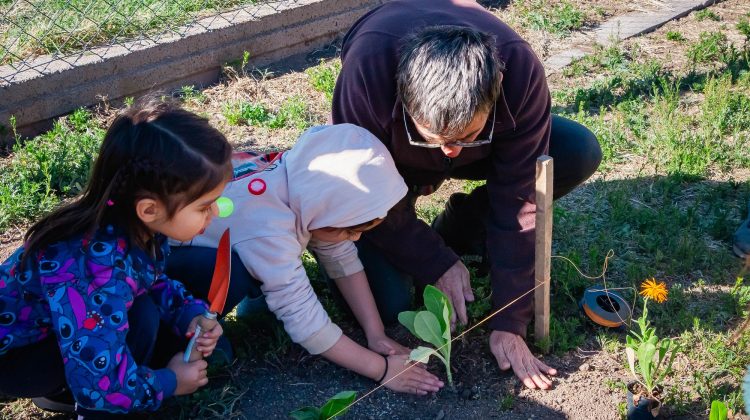 Desarrollo Humano armó una huerta en la Escuela Pública Autogestionada Nº2 ‘Puertas del Sol’