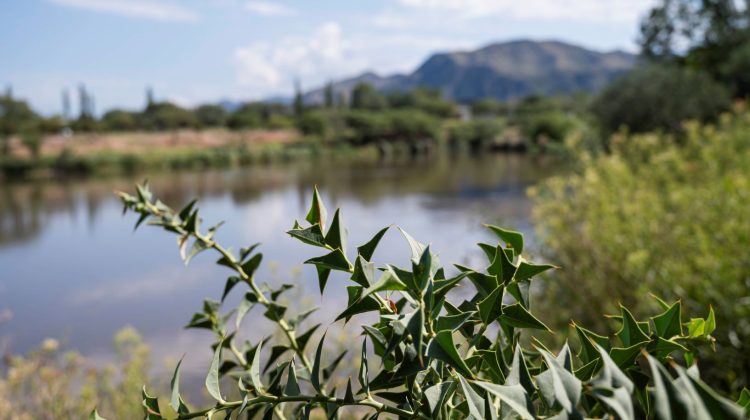 Para este jueves se espera una jornada agradable con temperatura en ascenso