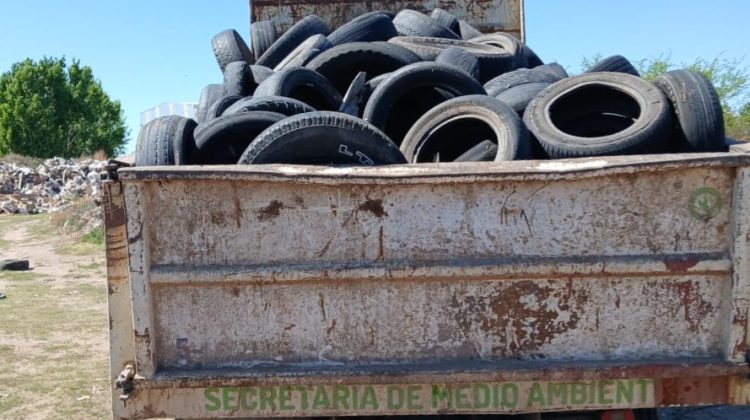 Cinco municipios se sumaron al operativo descacharrado y recolectaron 12 toneladas