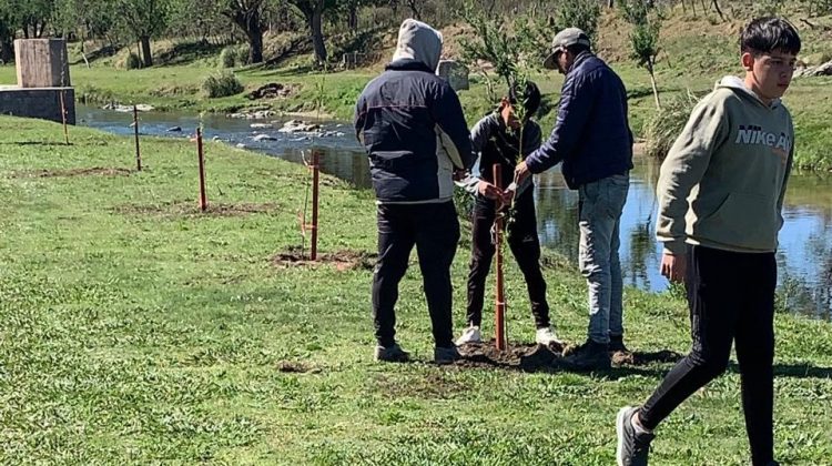 Ambiente realizó dos nuevas forestaciones en predios estatales