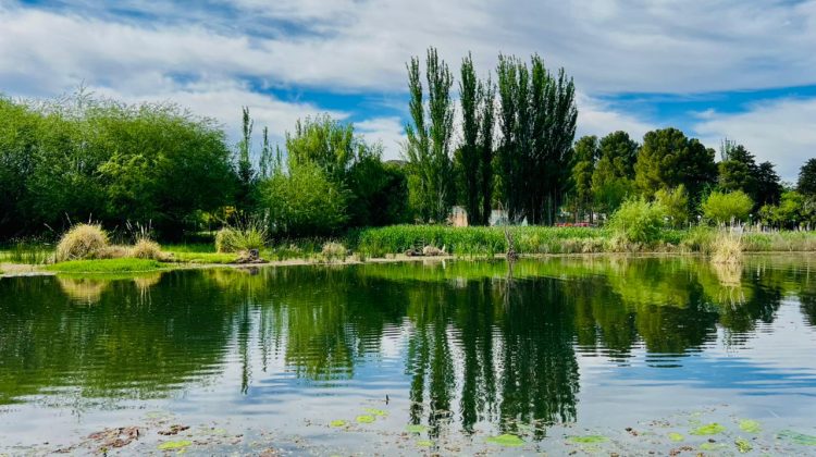 Para este viernes se espera una jornada con tintes veraniegos y una máxima de 34°C