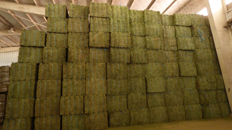 Firmaron un convenio para potenciar la producción y posicionar a San Luis como polo agropecuario