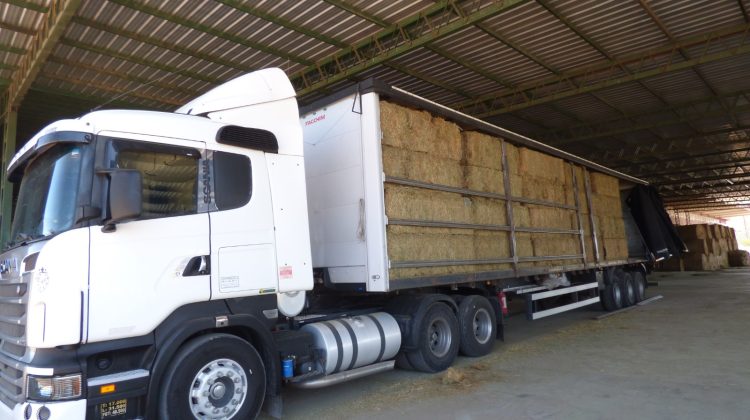 AgroZAL concretó una nueva exportación de 95 toneladas de alfalfa a Brasil