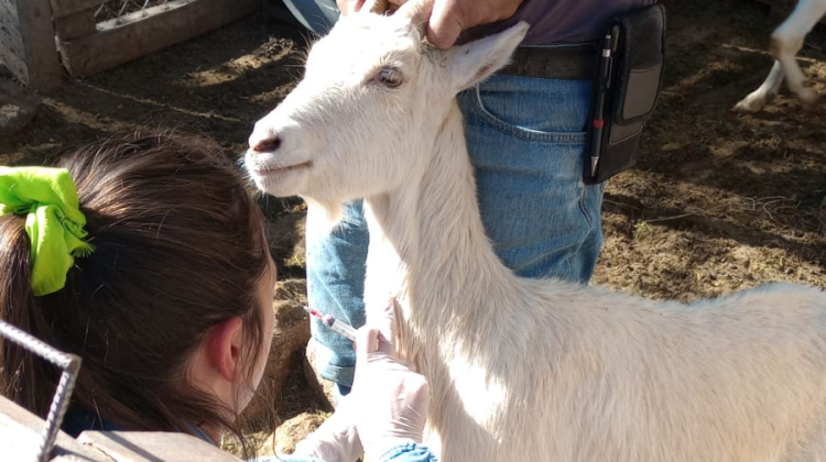 Continúa la asistencia sanitaria a productores rurales