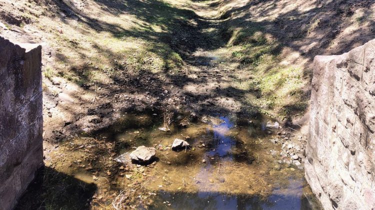 Limpian los canales de riego en Villa Mercedes