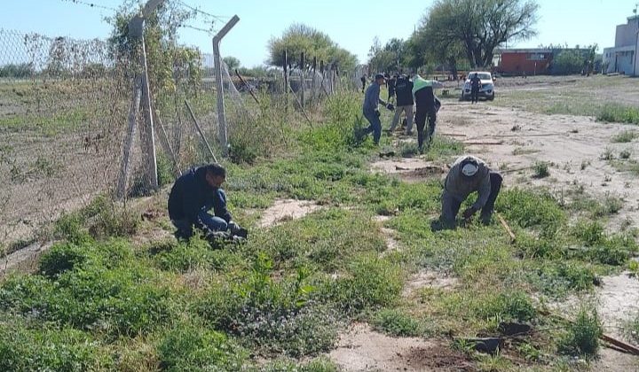 Ampliaron la cortina forestal de la planta recuperadora ‘La Jarilla’