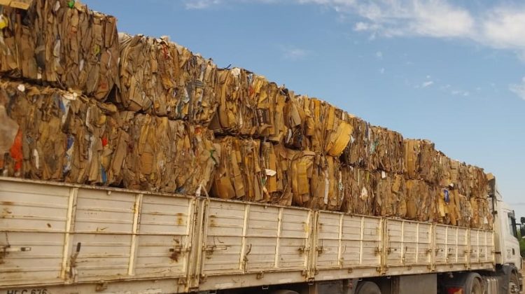 La planta ‘El Jote’ reinsertó 22 toneladas de cartón al circuito industrial 