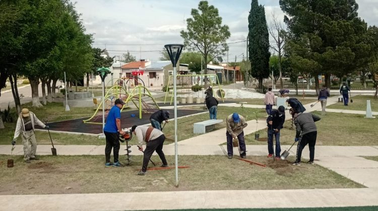 Ambiente forestó el espacio recreativo de La Vertiente