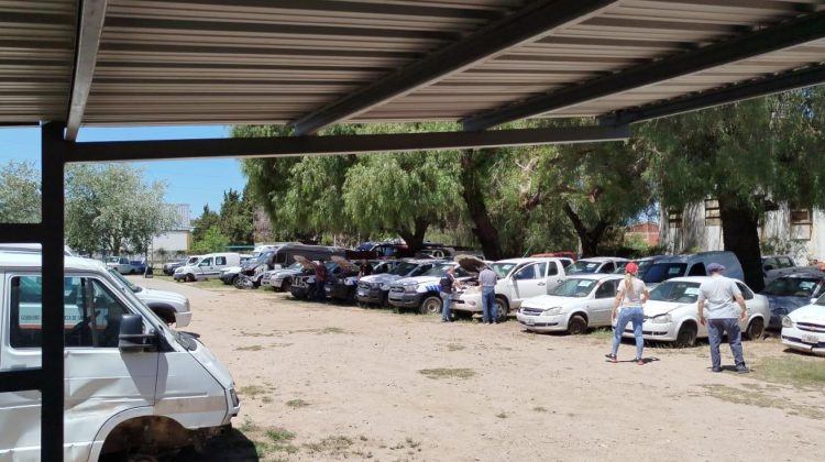 Alrededor de 200 personas visitaron el predio del Parque Automotor