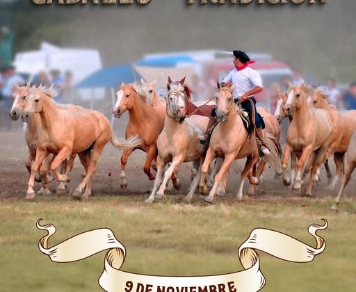 Costumbres criollas, destreza y coraje en la 19ª Fiesta del Caballo y la Tradición