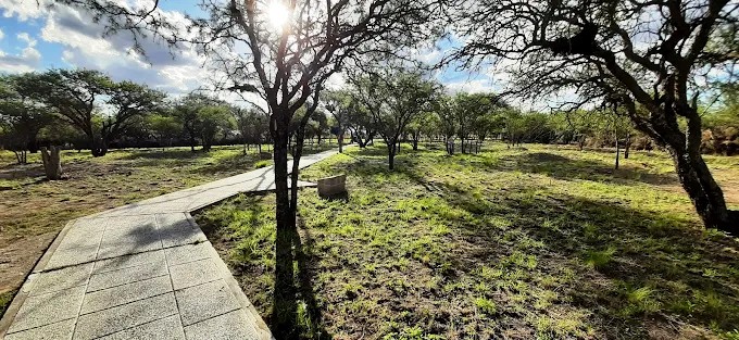 El Chañaral de las Ánimas: tesoro histórico y cultural de la Ruta Sanmartiniana