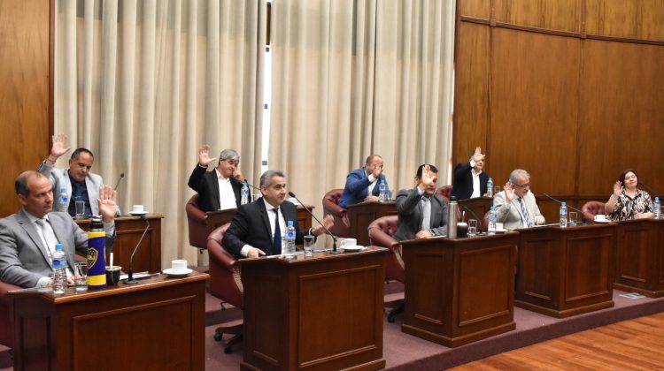 El Senado dio sanción definitiva a la Ley Impositiva Anual 2026