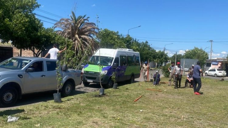 Forestaron el Club Deportivo La Ribera de Villa Mercedes
