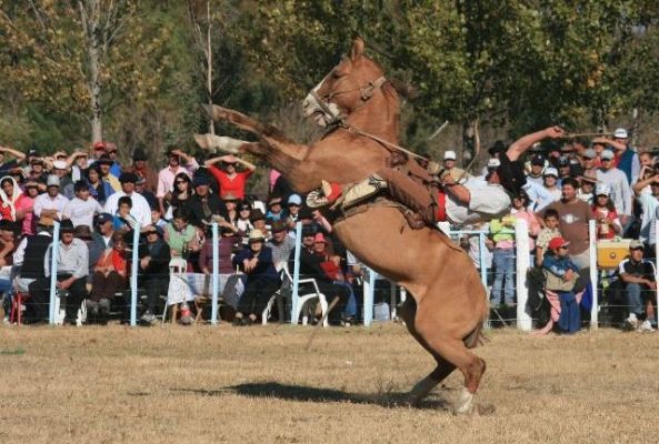 La Gran Jineteada Clasificatoria Provincial pondrá a prueba las destrezas y la tradición