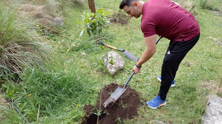 Mogote Bayo tuvo su Jornada de Reforestación