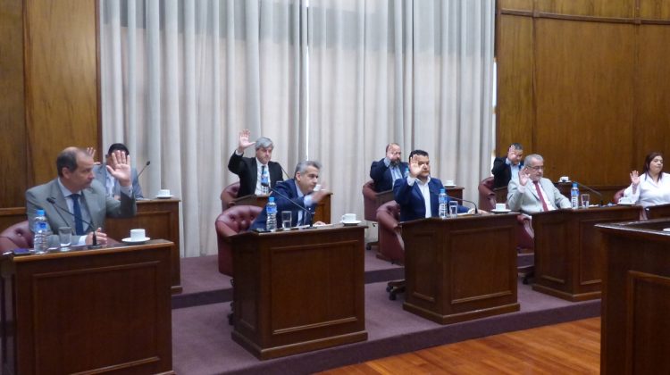 Media sanción al proyecto que declara el 2026 como el ‘Año de la Educación’ en San Luis