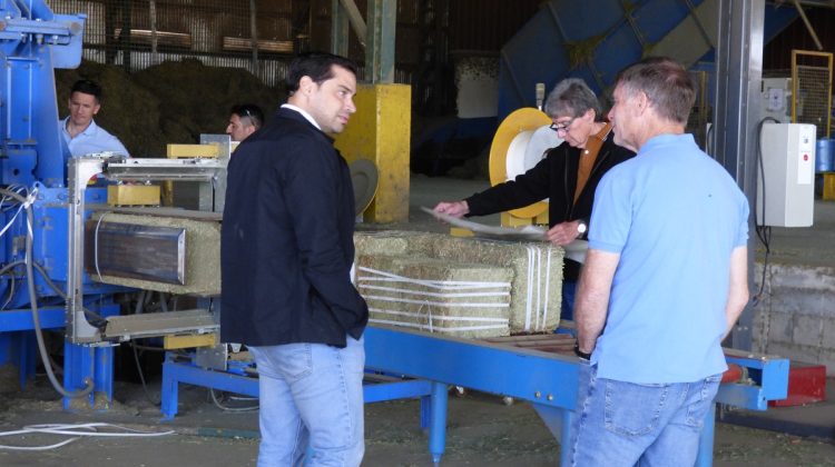 San Luis será centro nacional de producción y exportación de alfalfa