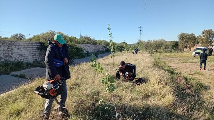 Ambiente impulsa nuevas acciones de forestación en el CAI y en el Sporting Club Victoria