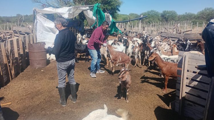La asistencia sanitaria a pequeños y medianos productores llegó al paraje San Vicente
