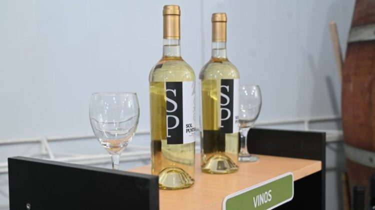 Realizarán la primera Mesa Vitivinícola Provincial en la bodega de Sol Puntano