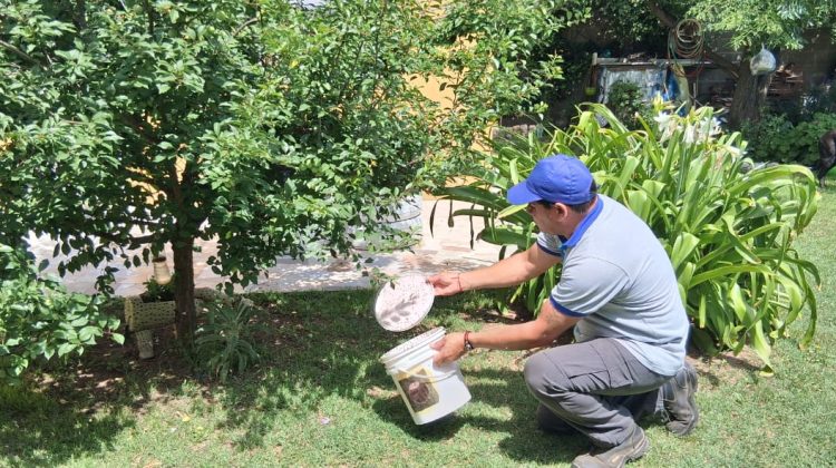 La Provincia intensifica la lucha contra la mosca de los frutos