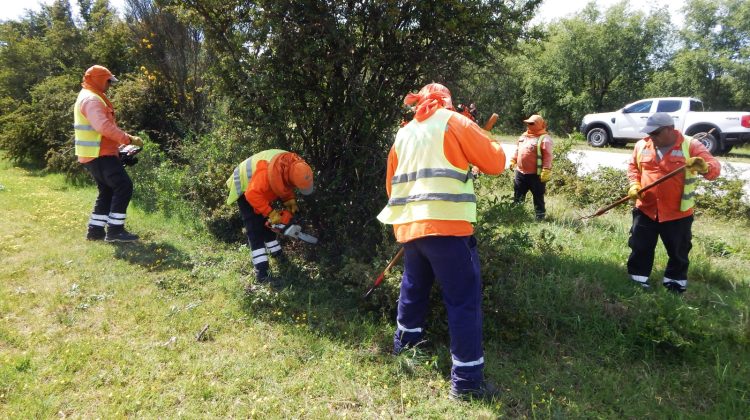 El Ente Control de Rutas realiza mantenimiento integral en la ruta N°20