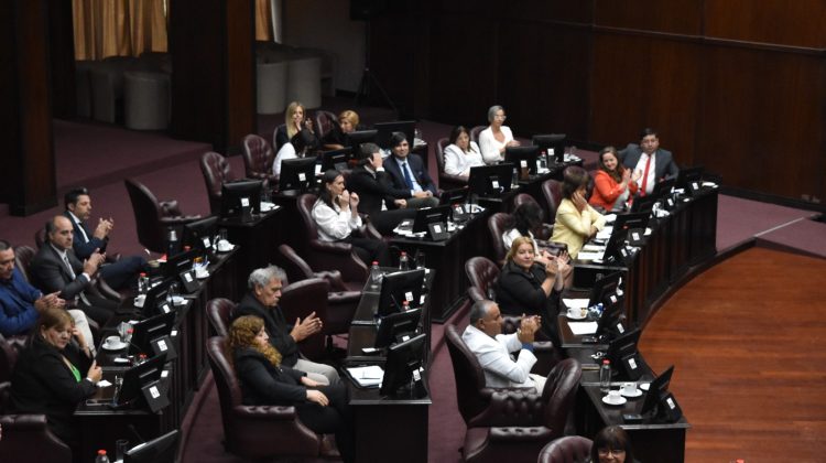 Es ley el proyecto que regula el decomiso anticipado y definitivo de armas de fuego