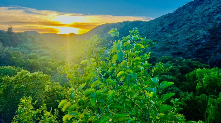 La lluvia hizo bajar la temperatura, pero la máxima llegaría a 32º este jueves