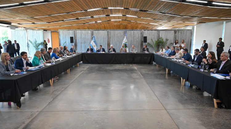 Por primera vez, San Luis recibe a los concejos federales de Comercio Interior y de Consumo