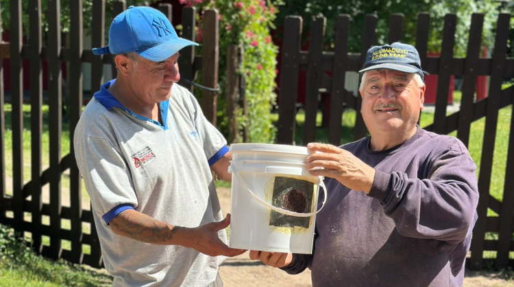 Continúa la campaña de erradicación de la Mosca de los Frutos en la provincia