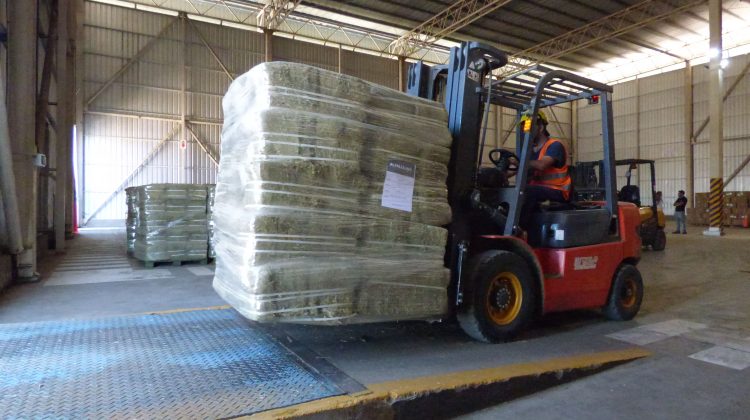 La alfalfa sanluiseña llegó a Malasia, un nuevo destino de exportación