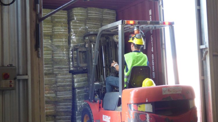 AgroZAL despachó alfalfa compactada hacia Aruba