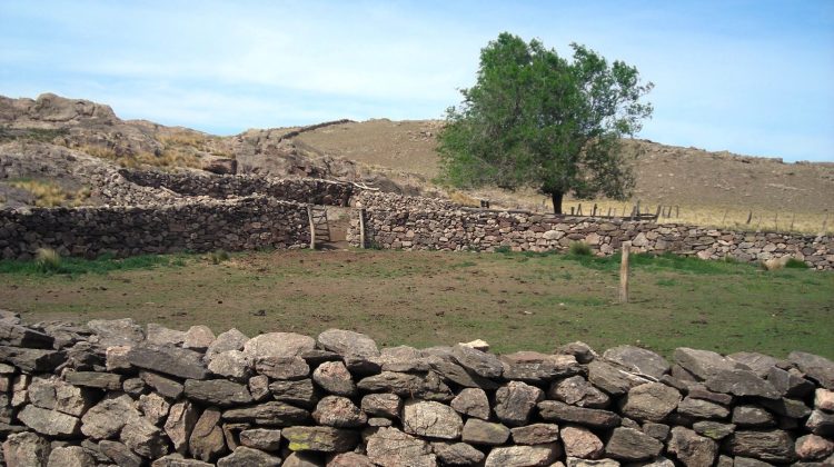 Las pircas: huellas de piedra que narran la historia y la identidad cultural local