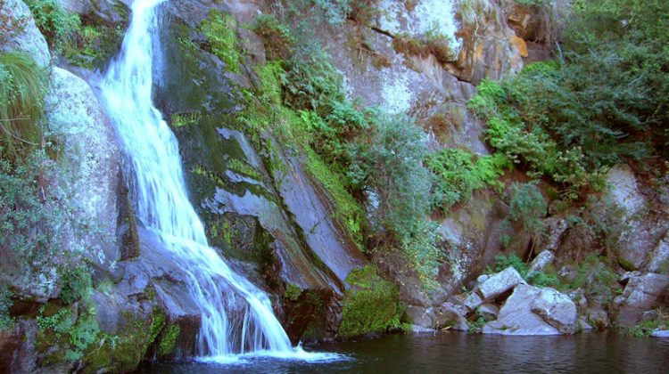 Salto de la Moneda: la joya natural escondida de Potrero de los Funes