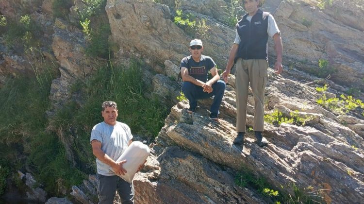 Ambiente comenzó la siembra de alevines de trucha en diferentes ríos de la provincia