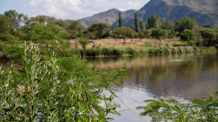 Anuncian un martes cálido y con una tarde casi primaveral