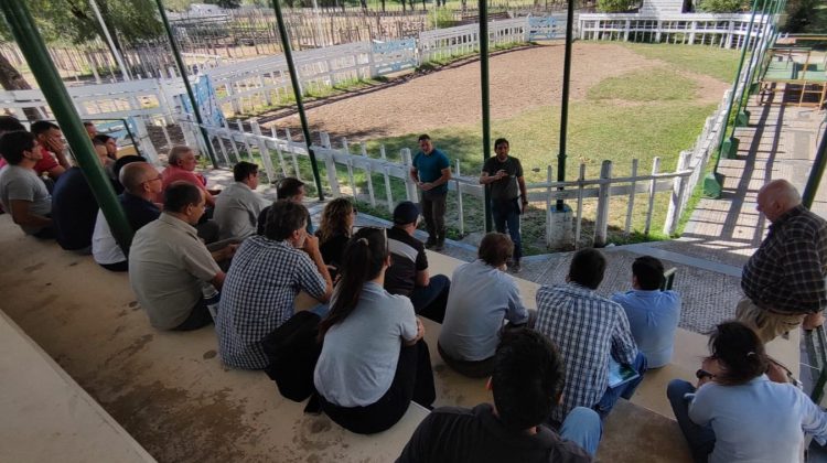 Habilitan el traslado de productos fitosanitarios con remitos de compras y de movimientos internos