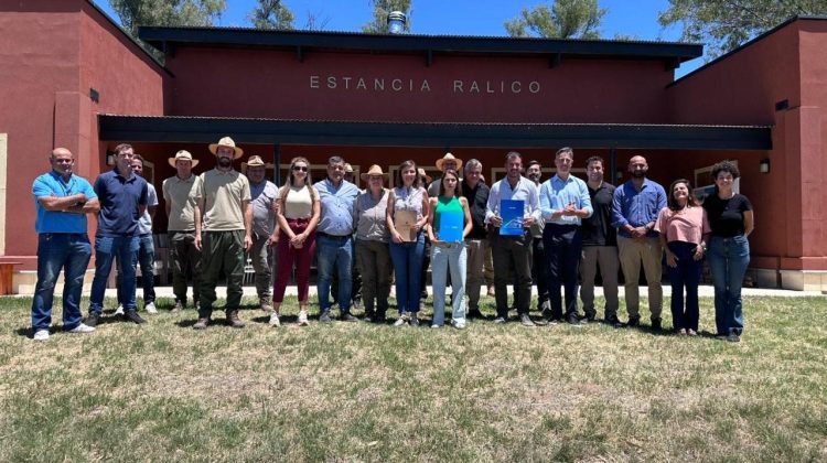 San Luis impulsa la conservación de la especie Caldén