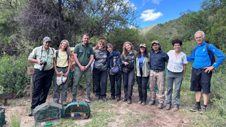 Aves y mamíferos regresaron a su hábitat natural en Quebrada del Palmar