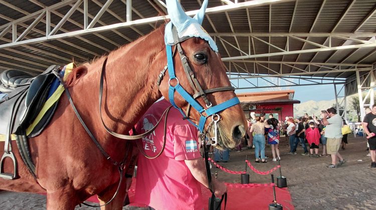 Cierre de año a pura emoción y color en los centros de equinoterapia de San Luis y Villa Mercedes