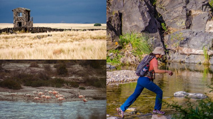 Ambiente anunció los horarios de verano de las reservas naturales