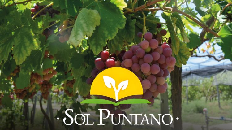 Sol Puntano encabezará una nueva reunión con productores vitivinícolas sanluiseños
