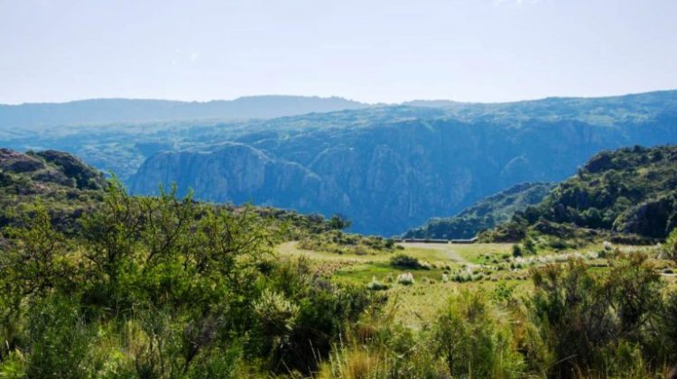 Imperdibles ‘Tardecitas Musicales’ en Las Chacras