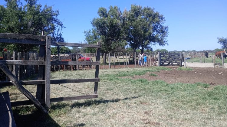 Brindaron asistencia sanitaria en establecimientos rurales de Chipiscú, Santa Rosa y Papagayos