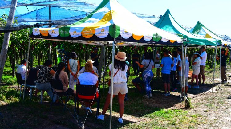 Sol Puntano abre sus puertas con recorridos productivos y venta directa durante enero